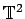 $ \mathbb{T}^{2}$