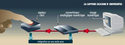 Lecteur d'empreintes digitales - Chip Silicium