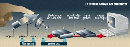 Lecteur optique d'empreintes digitales