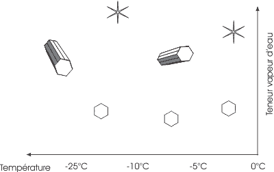 Formes de base des cristaux de neige